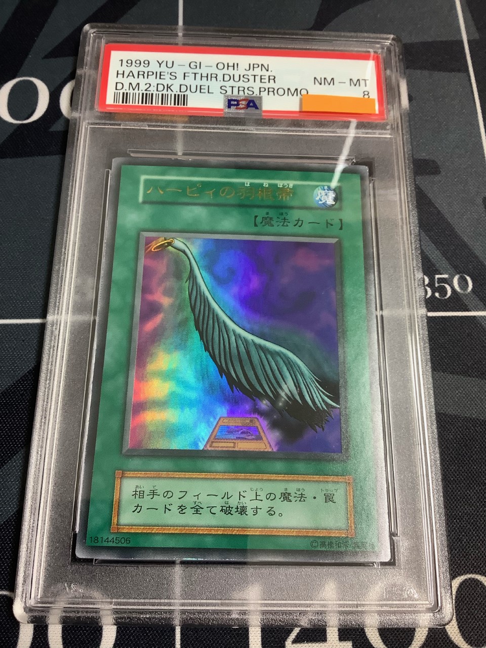 ENNDAL_TCG on X: 