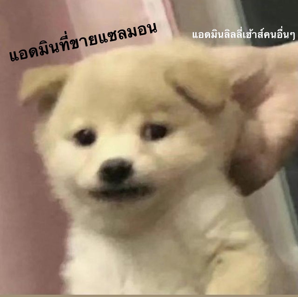 พี่ลืมสลับแอคฯ พี่ผิดไปแล้ว ขอร้องทุกคนอย่าแซวพี่ พี่ขอโทษจริงๆTTTTTTTT