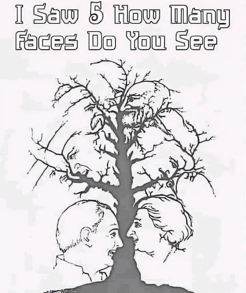 Isbella550's tweet photo. How many faces do you see? https://t.co/kK95DnTWrU