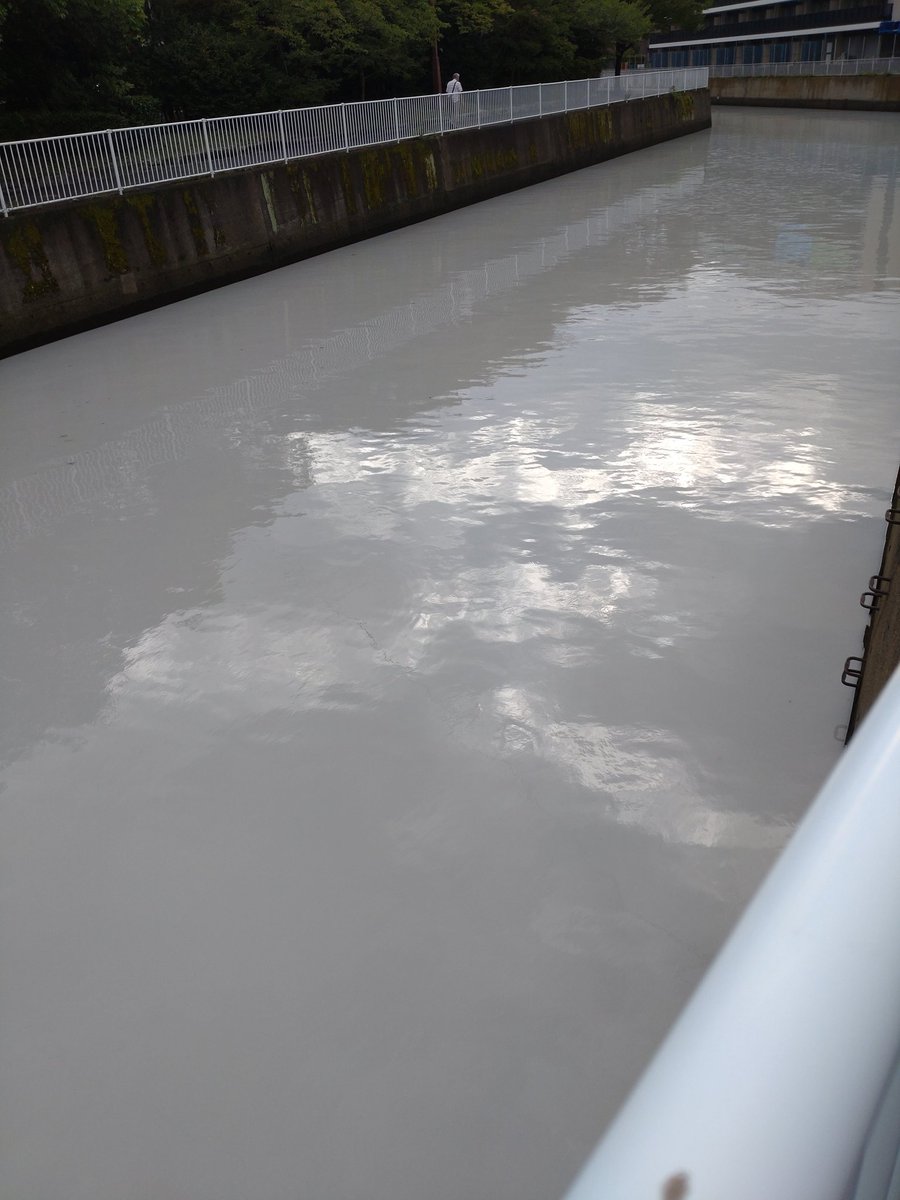 AA814352's tweet photo. 金総の横の川が白くなっている！一体どうしたのか?中のお魚達は無事かなぁ・・・ https://t.co/1aShVIsS1b