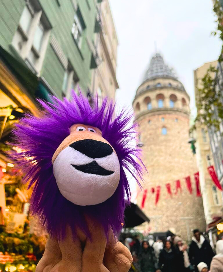 Big Cat’s adventure continues in the vibrant city of Istanbul, Turkey, with its dazzling fusion of cultures. From the Grand Bazaar to the timeless Galata Tower, Big Cat is celebrating the power of stories that connect us.  Share your reading stories &amp; photos  #BigCatTravels