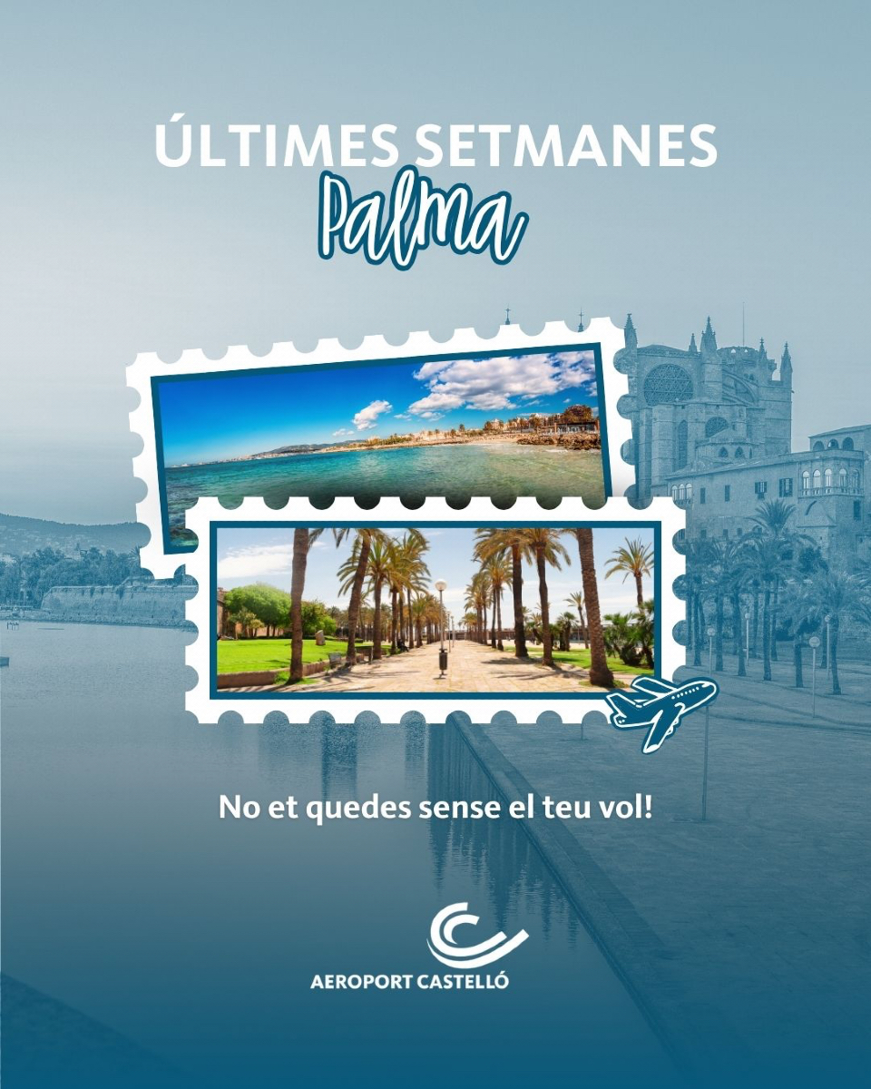 Aerocastello's tweet photo. ✈️ Últimes setmanes per a volar a Palma des de l'Aeroport de Castelló.

Planifica el teu viatge ara.

#PalmaMallorca #AeroportCastelló #Destins #ÚltimesSetmanes https://t.co/dFqfs2LN2J