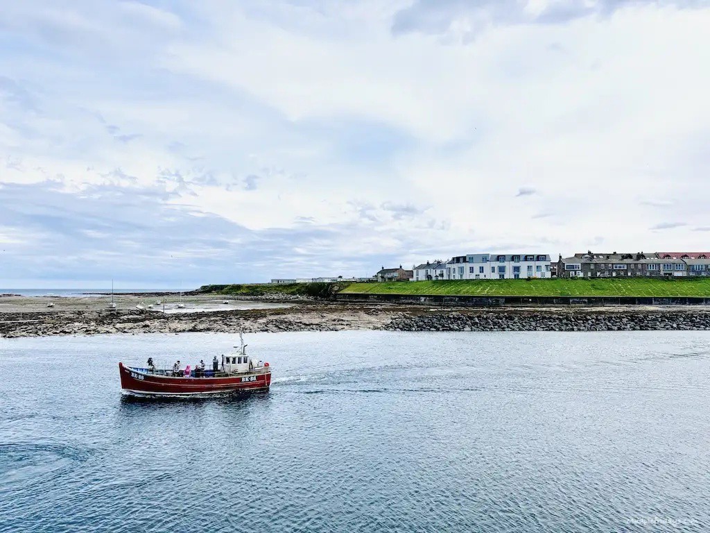 What did we catch when crabbing at Seahouses in Northumberland? One was a small brown crab and the other looked to be a red velvet crab.

Read more 👉 lttr.ai/Ahf5v

#SeahousesNorthumberland #Crabbing #OutstandingNaturalBeauty