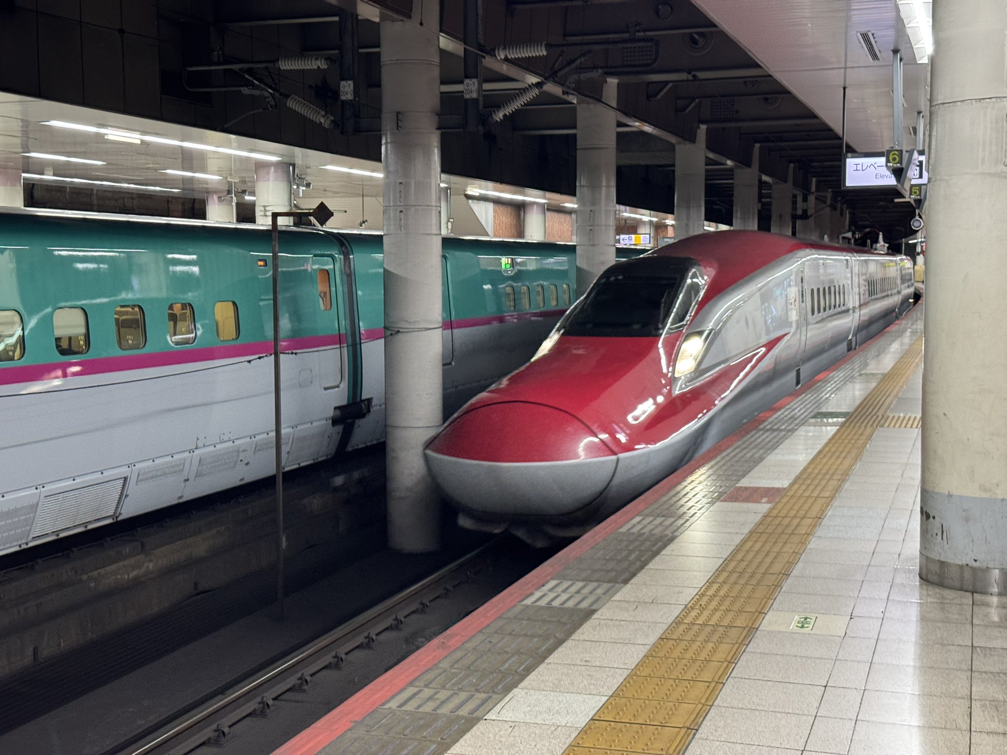 yuuさま専用 yuuさま専用
