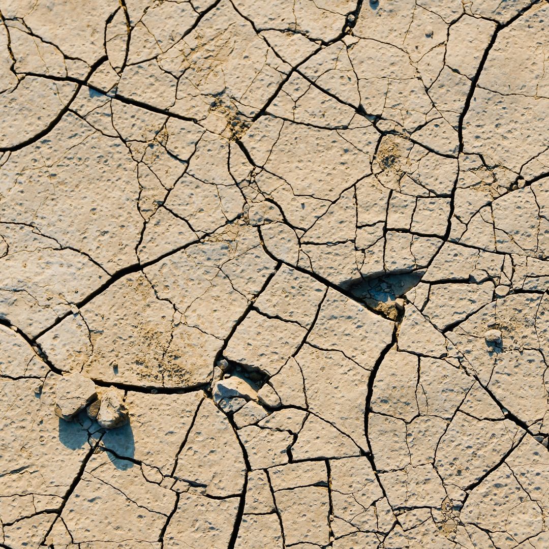As warming climate fuels droughts, better forecasting is vital. 💧

Long-term weather patterns can help predict droughts up to 4️⃣ years in advance.

This study provides a foundation for more resilient water planning. ⬇️

environment.ec.europa.eu/news/hidden-we…

#SfEP