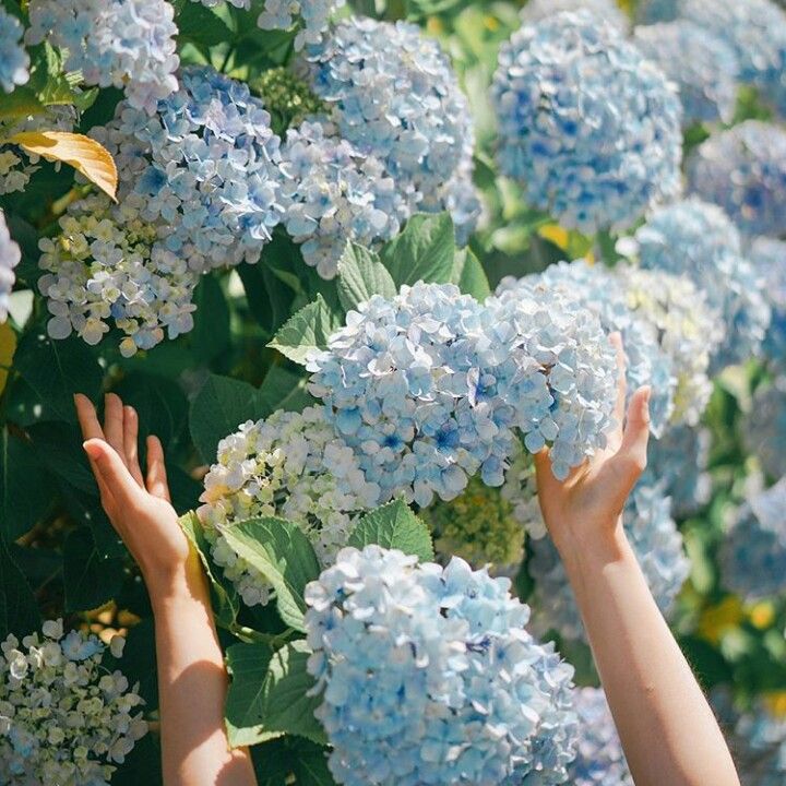 𝕊𝕡𝕒𝕣𝕜𝕝𝕪_𝕄𝕒𝕜𝕒𝕣𝕚𝕪(หายตัวไปทำงาน) tweet media