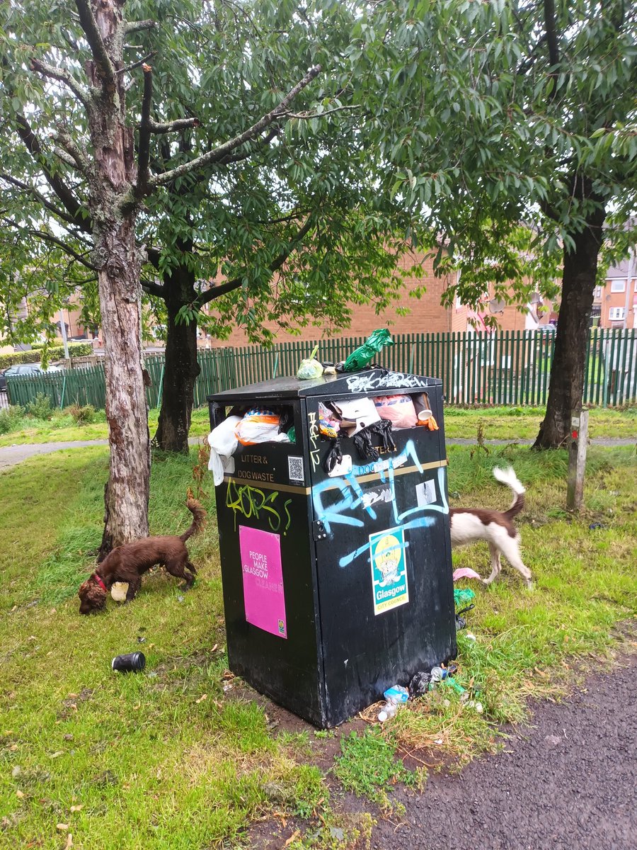 GardenHamster's tweet photo. Located in Tollcross Park (St Marks Street entrance) @GlasgowCC this bin has been full for a week. How about emptying it? https://t.co/ipZ5yn9Tjj