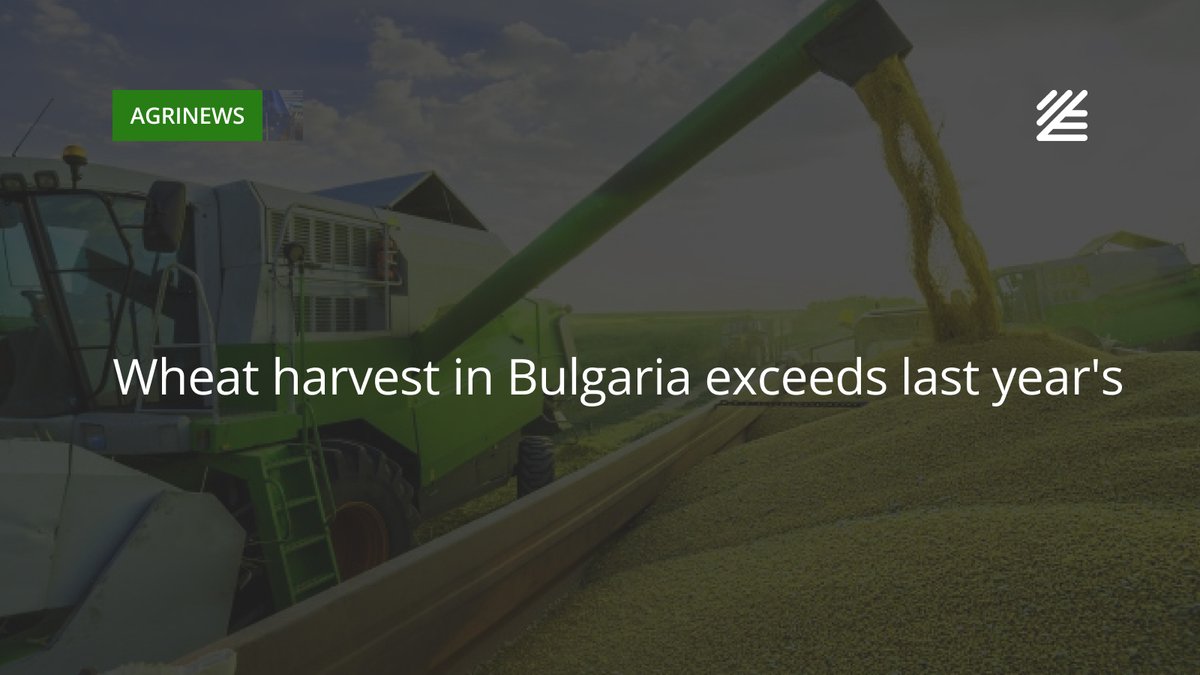 🇧🇬 #Wheat #harvest in #Bulgaria exceeds last year's

Wheat harvested increased by 10.7%, barley by 22.8%, rapeseed by 59.3%, rye by 31.9% and triticale by 31.9%. 

Read more 👉salo.li/d751dD7
