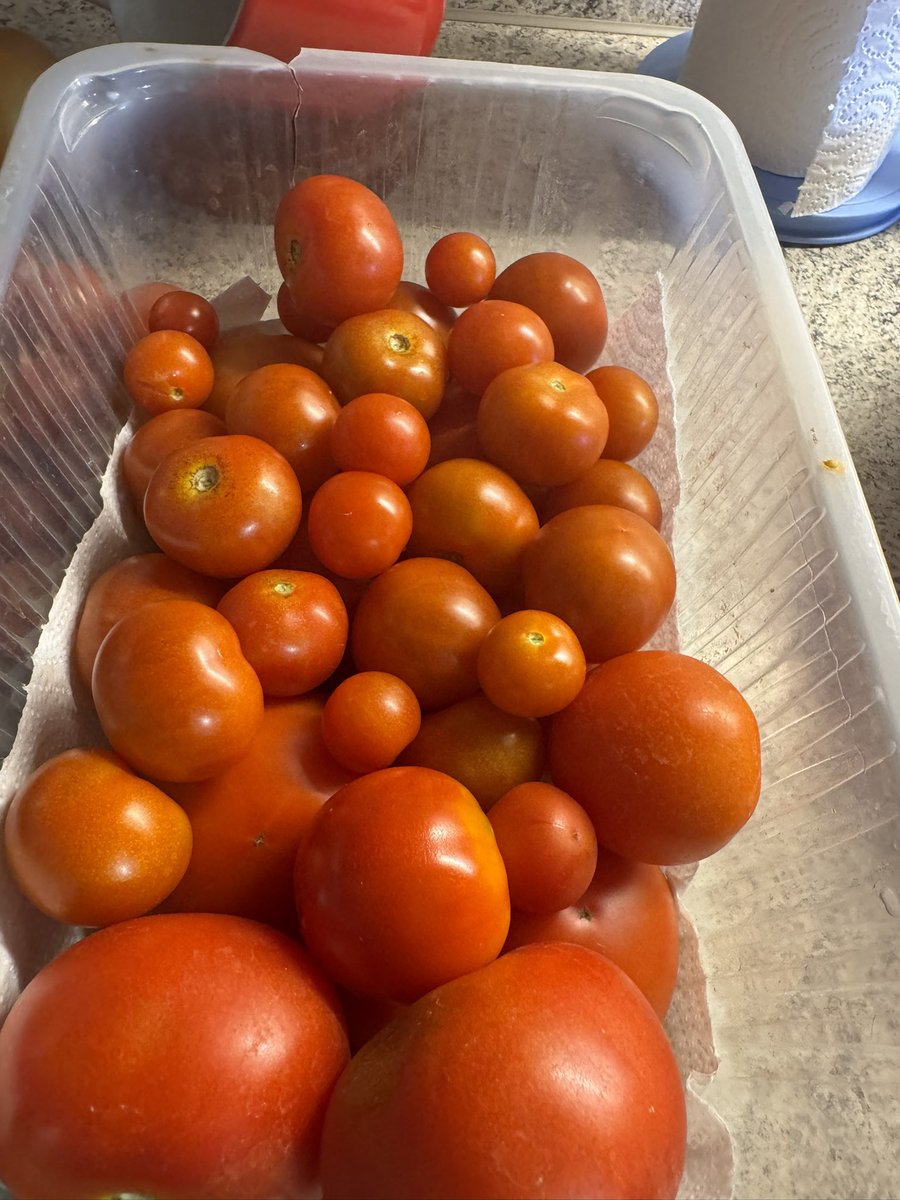 Biologisch dynamisch.