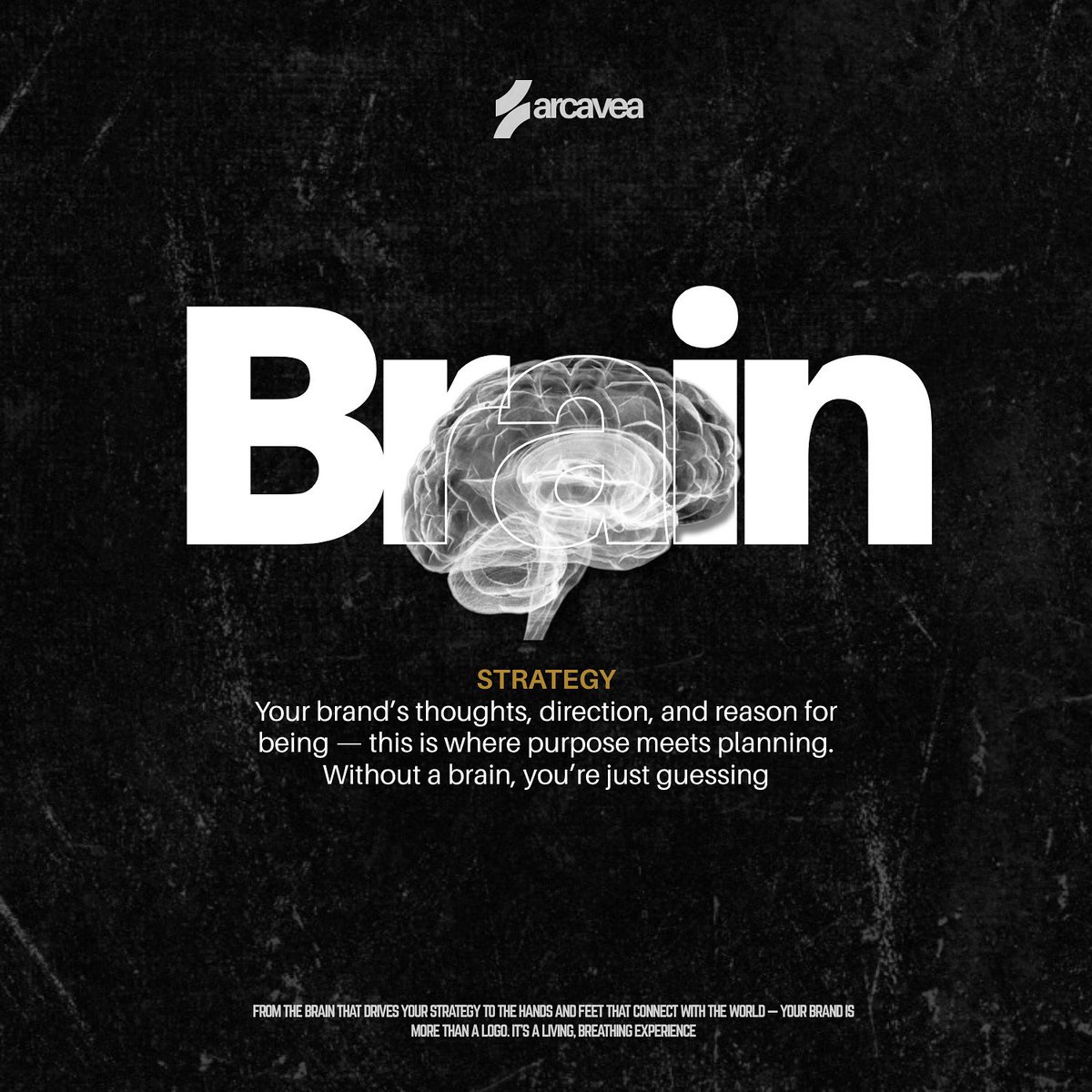 Your brand’s brain is its strategy — the thoughts, direction, and decisions that guide every move.
Without it, you’re just guessing.
#BrandAnatomy #BrandStrategy
