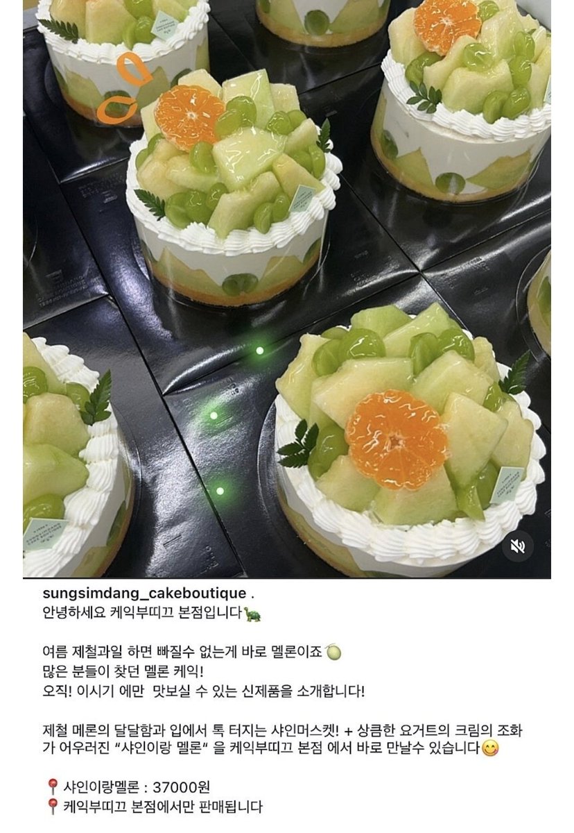 성심당 가야 할 이유가 또 생겼습니다... 케익부띠끄 멜론케익 출시했답니다