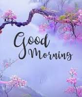 ⓢⓐⓔⓔⓓ tweet media