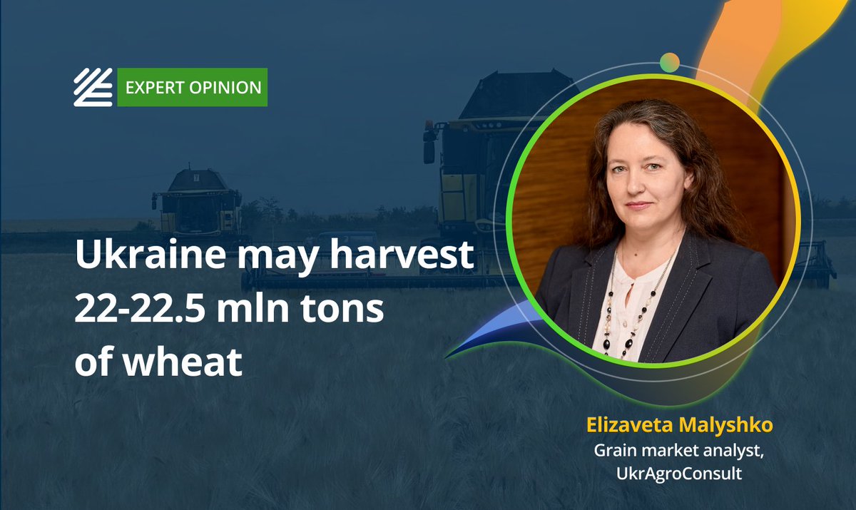 🟢 #Ukraine can #harvest 22-22.5 mln tons of #wheat

The increase in the area under the crop to more than 5 mln ha, the highest since the beginning of the full-scale invasion, was the key factor in maintaining the high production forecast. 

Read more 👉salo.li/73645aA