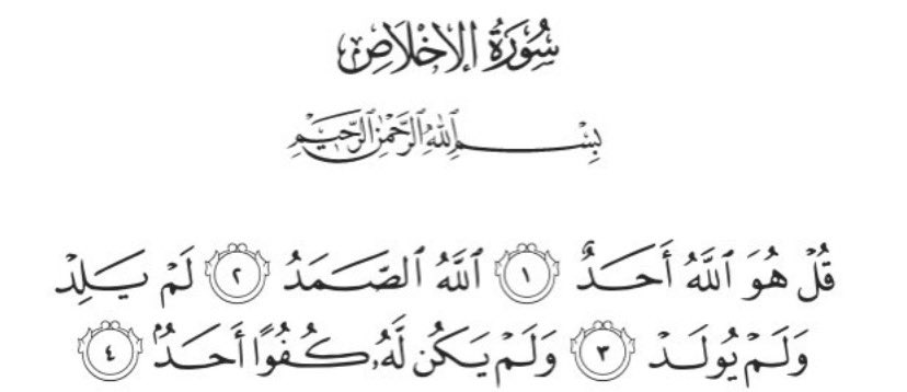 A🇸🇦 tweet media