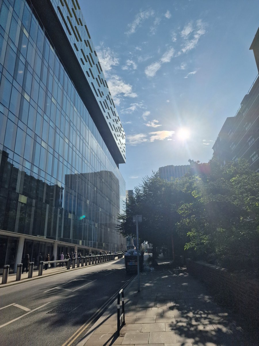 🎶 It's gonna be a bright (bright), bright (bright)
Sun-shiny day
It's gonna be a bright (bright), bright (bright)
Sun-shiny day 🎵