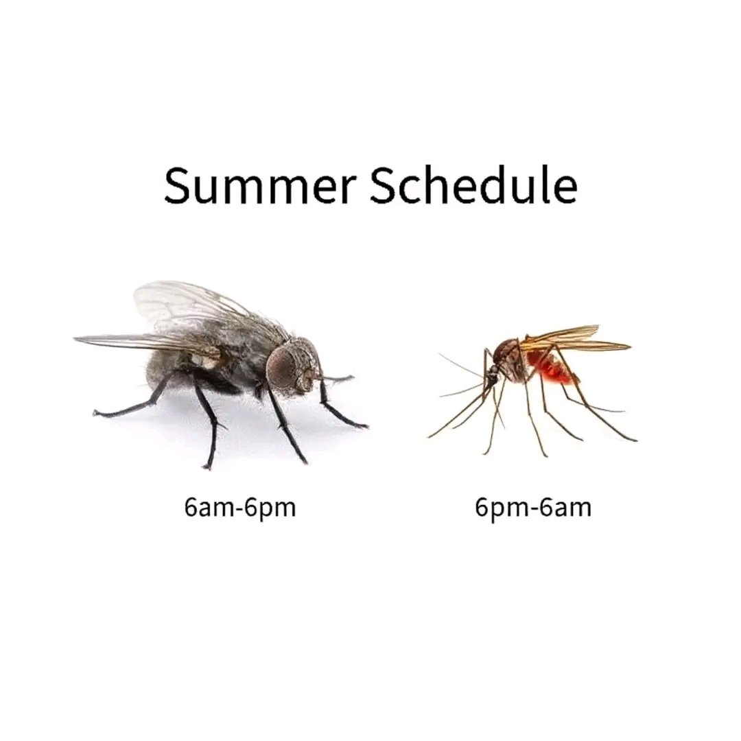 Nehemiah2020's tweet image. 😭