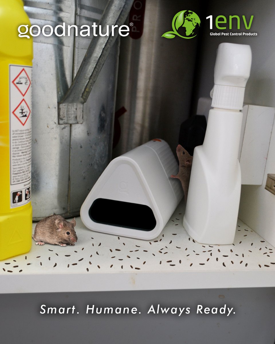 1env Solutions Ltd tweet media