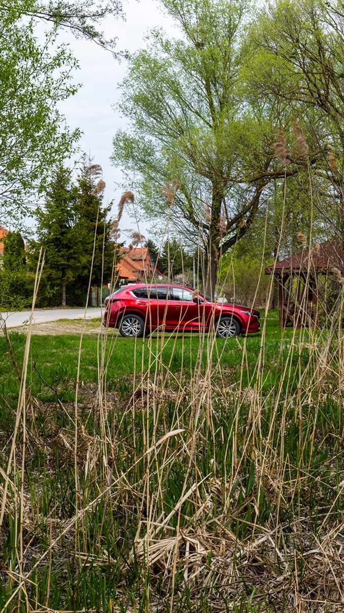 Norton Way Mazda tweet media