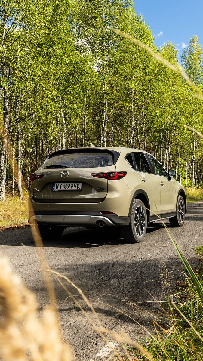 Norton Way Mazda tweet media
