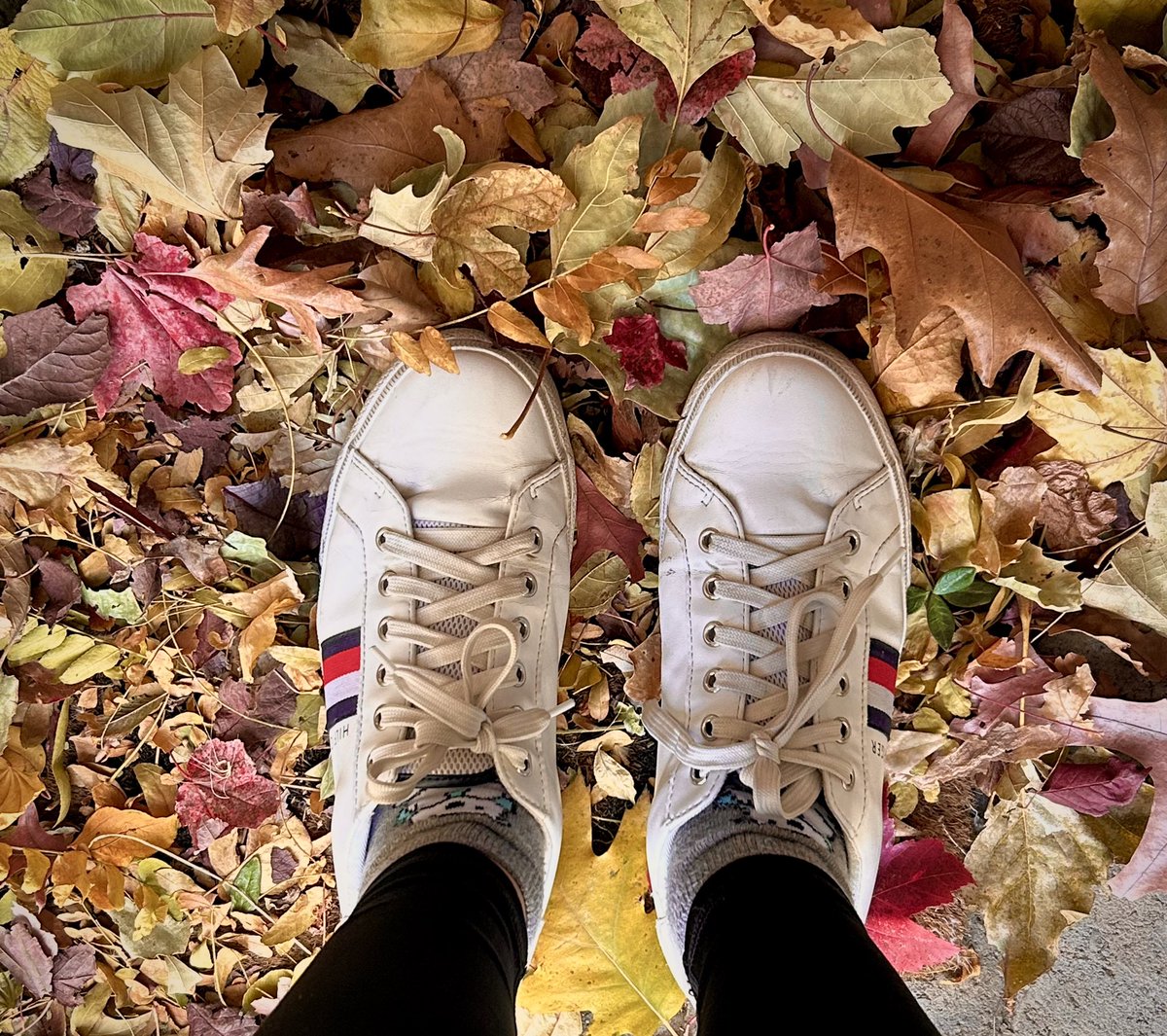 themariescript's tweet image. hello, I’m Marie!

💌
⤿ i’m new here 
⤿ she/her | '99 | libra 
⤿ i love: food, autumn, taking photos, traveling, writing &amp;amp; reading books
⤿ current faves: seven year slip, tuesdays with morrie and THG(!!!)

♡/↻ &amp;amp; follow = mutuals

[ #booktwt #archivetwt #writetwt #lifetwt ]