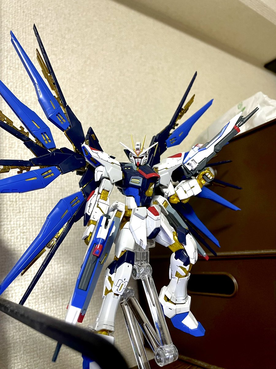 RGストラクフリーダム
拡張エフェクトユニット天空の翼は注文済みです！！