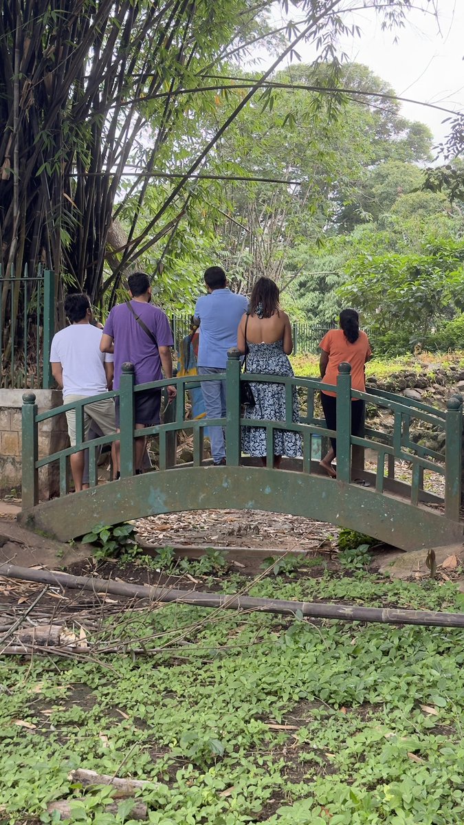 Mythematical1's tweet photo. 13-Jul 🔵 Main Gate Quest at Lalbagh:
Visitors from Mumbai &amp; a history student met mythical tales &amp; prehistory trivia rooted deep in the garden along with delightful surprises.

Join us for the next walk: 
https://t.co/ZocEsZJNTA
#BeforeAndBeyondHistory https://t.co/2zq5UHs9qX
