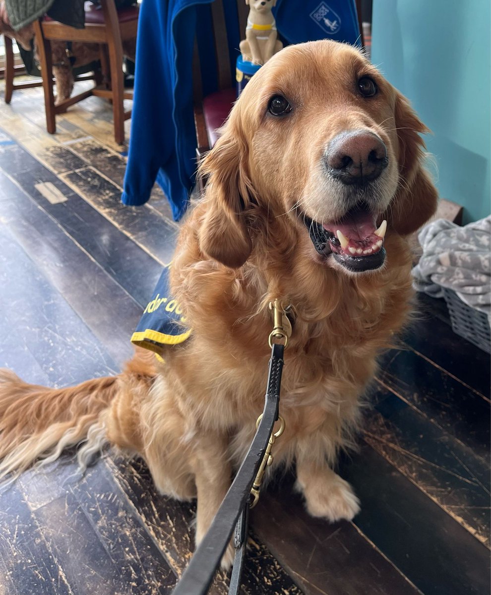 #MondayMartin - he’s always enjoyed having his photo taken!

#Chorley #GuideDogsUK #GuideDogs #GuideDogsForTheBlind