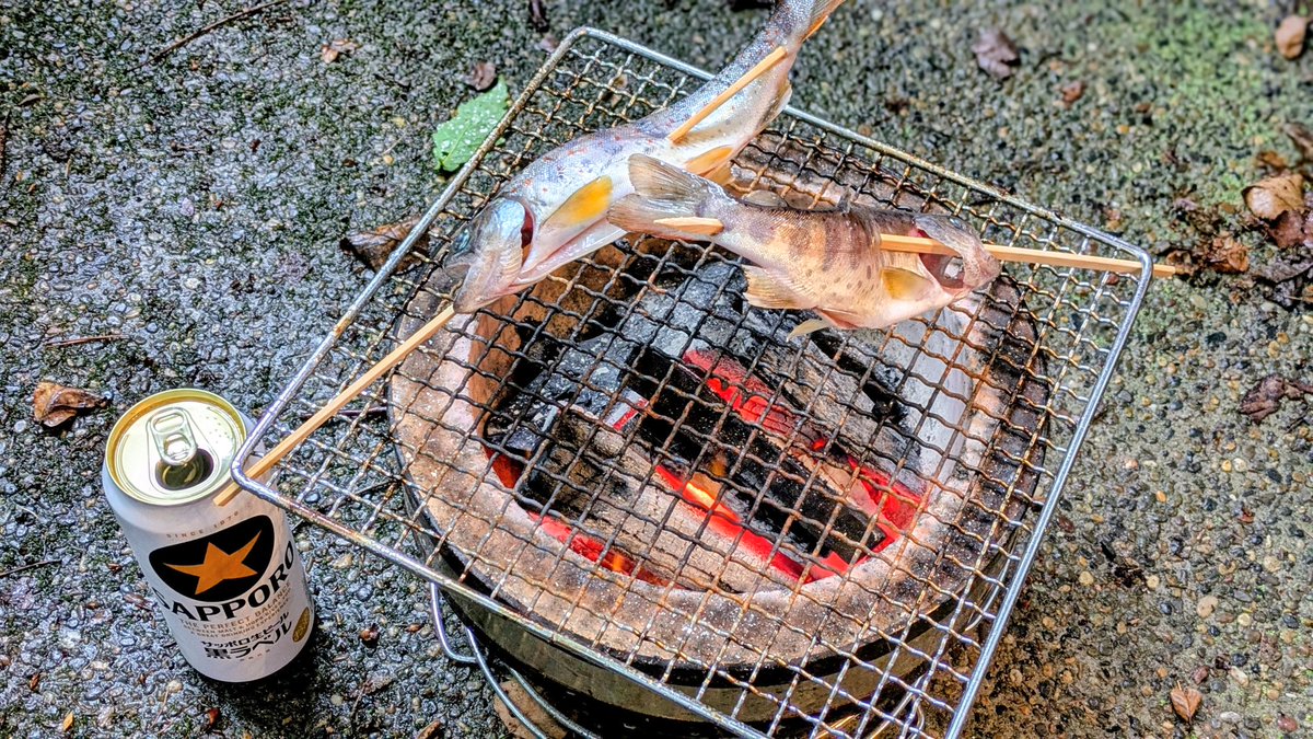焼き魚始めました(*´ω｀*)