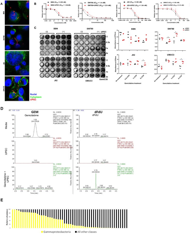 ⚡️ Bladder cancer microbiome and its association with chemoresponse 

#BladderCancer <a href="/LauraBukavinaMD/">Laura Bukavina</a> 

frontiersin.org/journals/oncol…