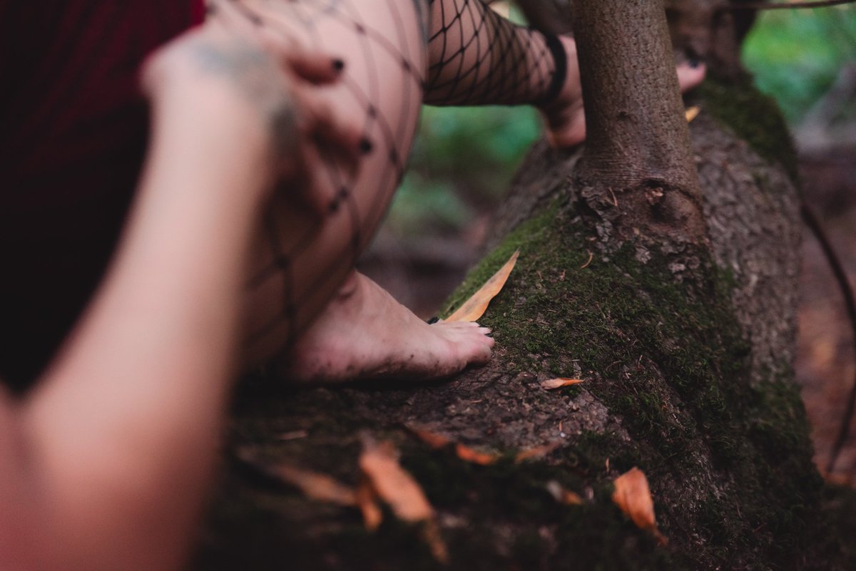 Kaptured_by_Arty tweet media