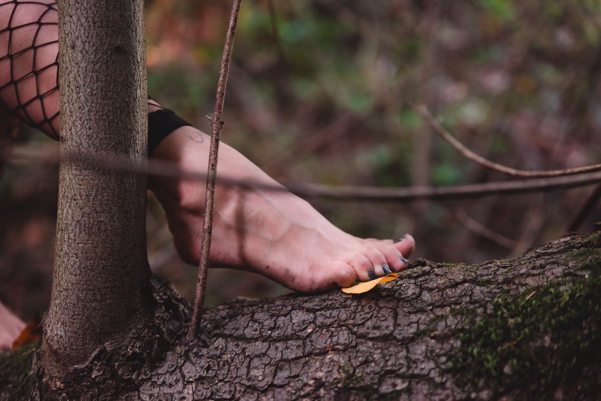 Up in the trees
w/ <a href="/xxxmariecore/">Marie Ortegon</a>