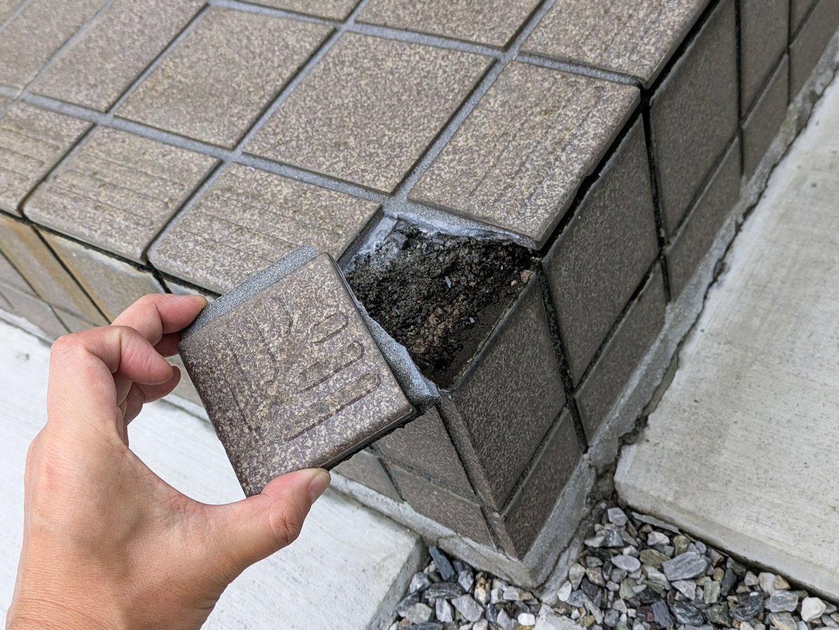 ドアギシギシはココじゃなくて単純に蝶番だった。DCMスプレーはすべてを解決する。
あータイル、クルマ当てたねぇええええ(ふんぬ)
明日どうにかしよう。