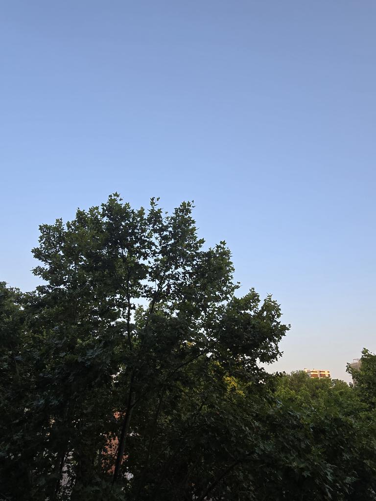 gramareus's tweet photo. De bon matí, la lluna i el cel 
Avui suarem tinta...🥵
Ara ja tenim 32°C, sensació de 34°C, i sembla que arribarem als 36°C 🤦‍♀️ La humitat es del 46%💧
#reus #calorada #xafogor @Alex_MeteoM @1967fct @StormHour @JRovireta @SeguimlaMeteo
@ecazatormentas #bondia https://t.co/I9cjMqFp79