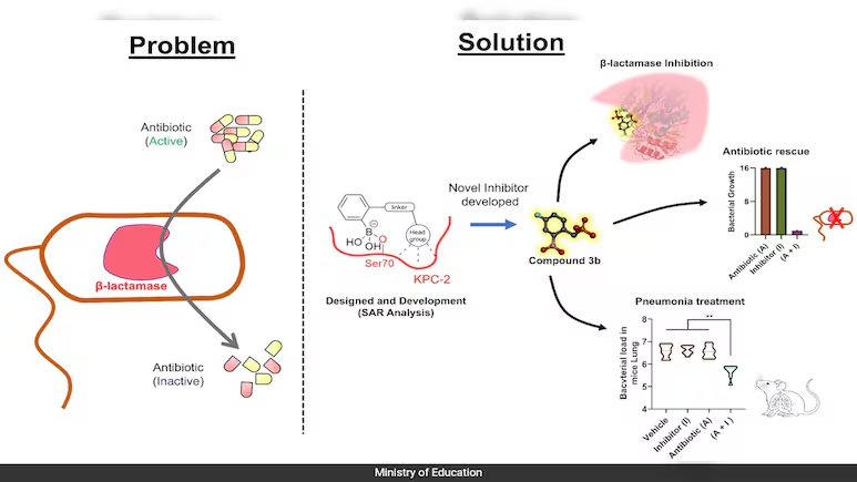 IIT Roorkee Finds Breakthrough To Beat World's Most Dangerous Superbugs ndtv.com/india-news/iit…