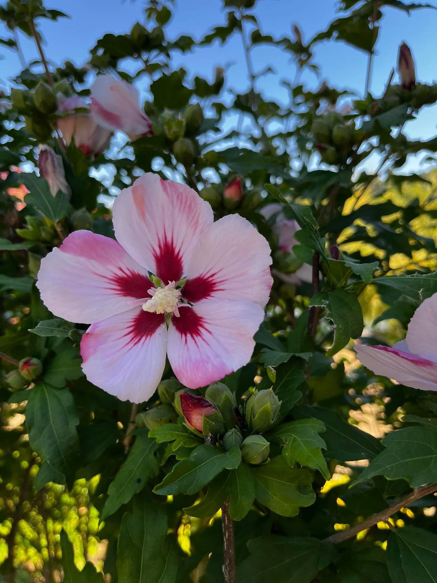 Olgun bir adamı dost edinmek isterseniz, eleştirin; basit bir adamı dost edinmek isterseniz methedin.

Sadi Şirazi