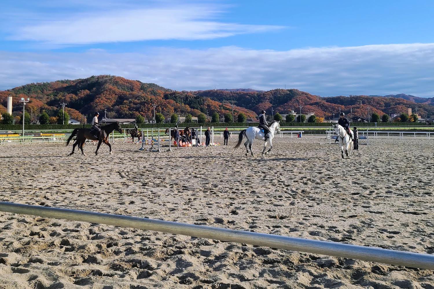 第拾五回競馬番組　福島県産馬組合聯合会　競馬場　　明治44年　開成山　広告 第拾五回競馬番組 福島県産馬組合聯合会 競馬場 明治