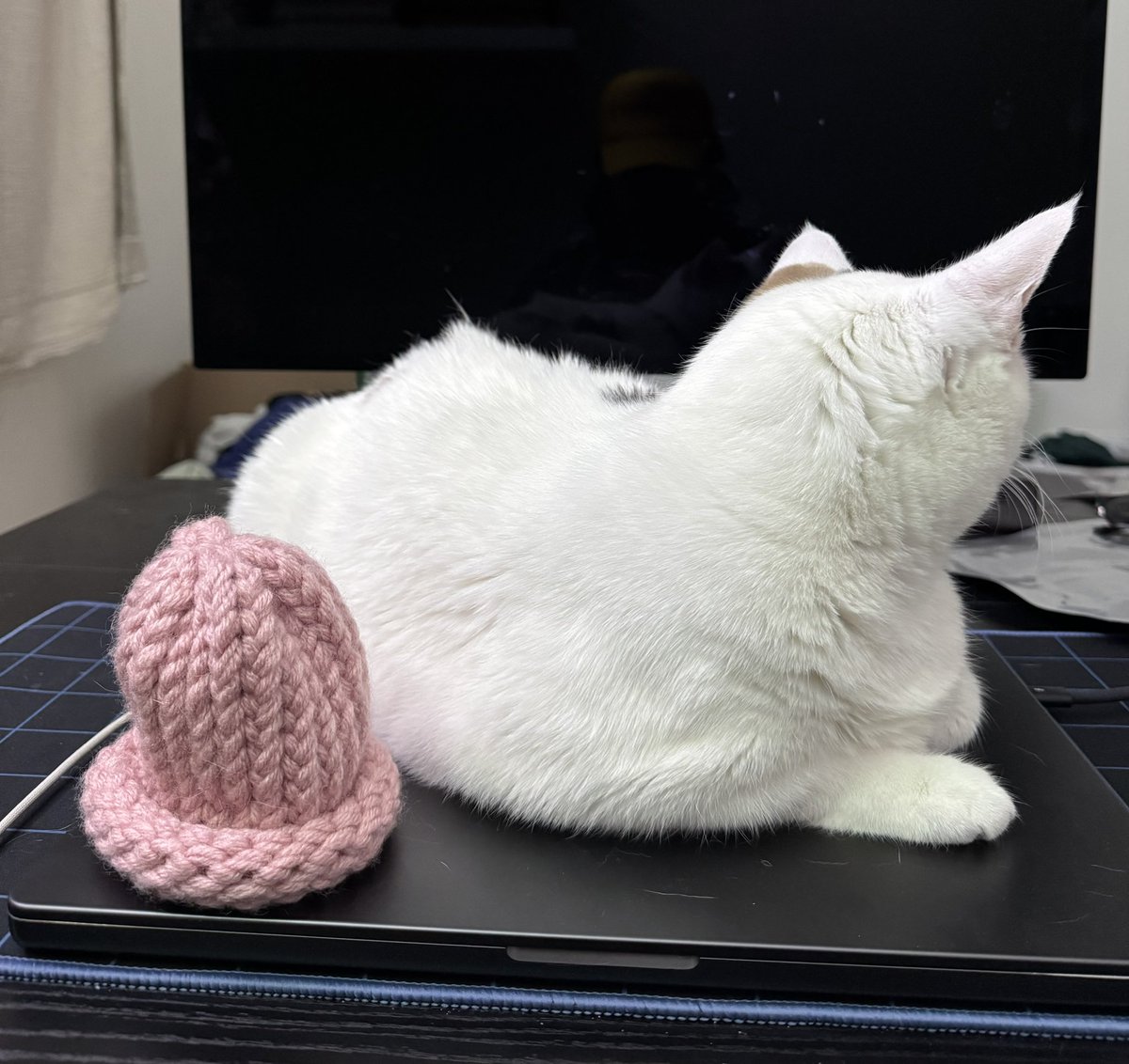 FINN (@finnbags) on Twitter photo 