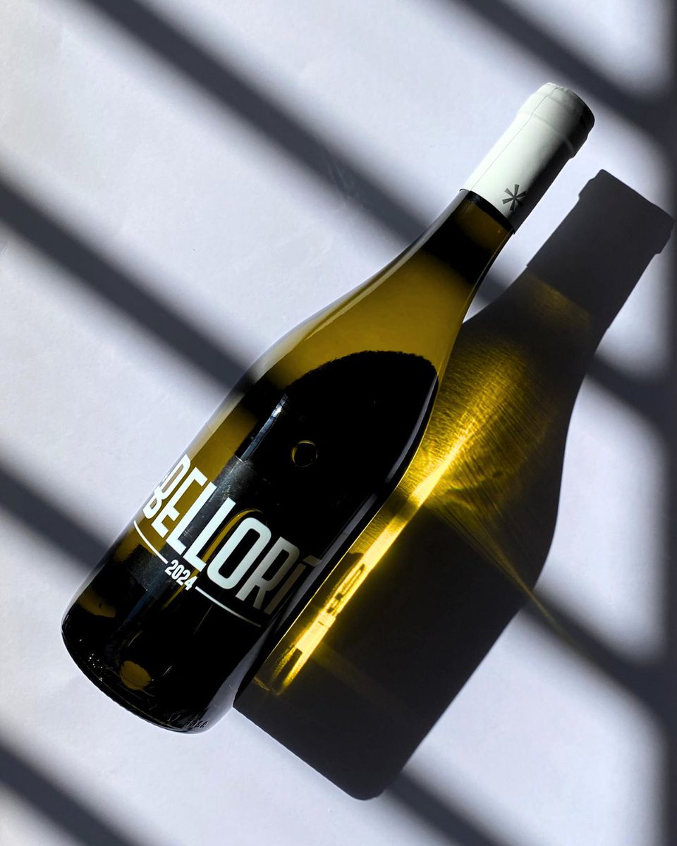Refréscate con Bellorí.
Bellorí Joven 2024.

bellorivinos.com

#Bellorí #dorueda #vino #vinoblanco #ElBlancoDeTodasLasMiradas #vinodeverano #vinoespañol