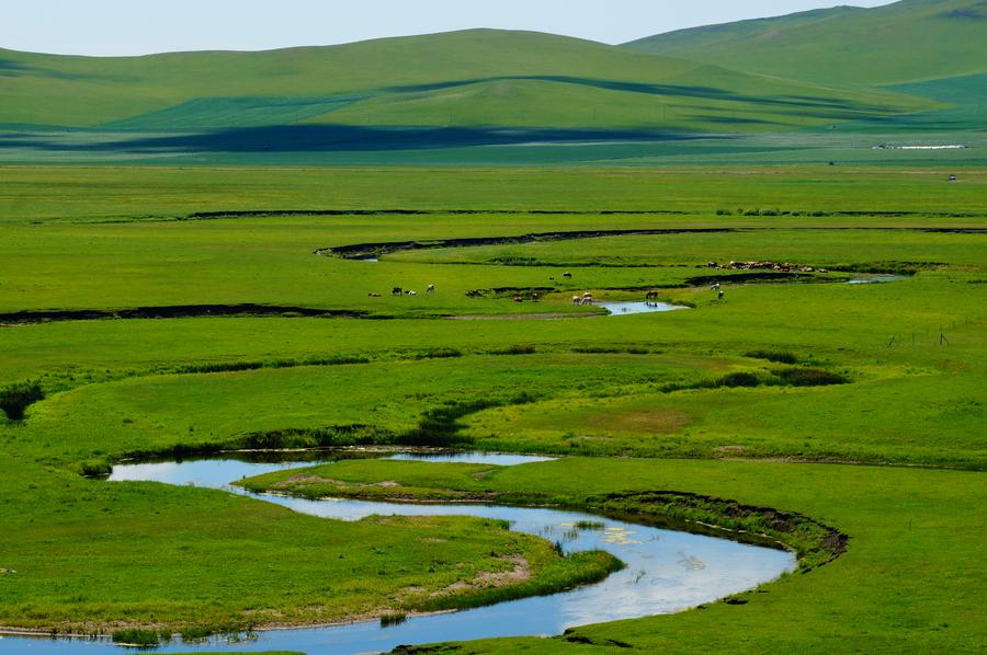 XinhuaTravel's tweet photo. I just wrapped up my journey through Xilingol League and Hinggan League! The stunning landscapes and rich cultural traditions offer a glimpse into the amazing lives that the locals lead. I hope to share the unique charm of these places with more people. #HarmoniousCoexistence https://t.co/3tqWmz8u3s