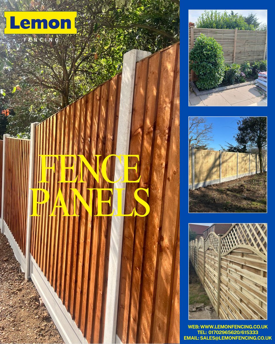 Lemon Fencing tweet media