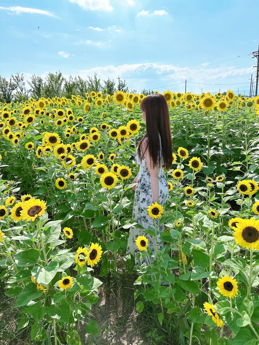 二村春香 tweet media
