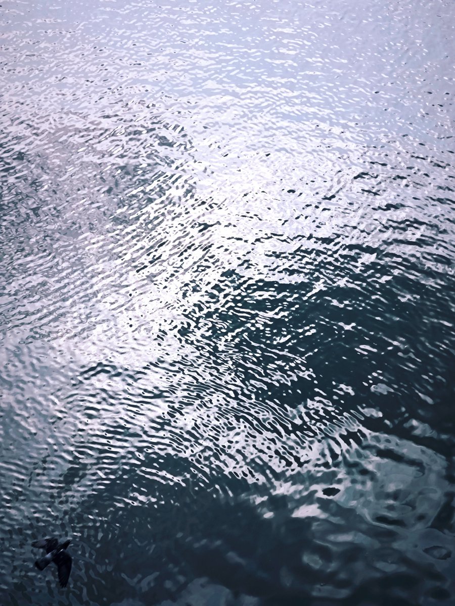 BAvidozo's tweet photo. Liquid cooled (Paris - France)

#photographie #photography #fotografia #waves #originalphoto #ondes #lumière #light #bird #oiseau #water #Paris #France #fluides https://t.co/NsbhfgQpxR