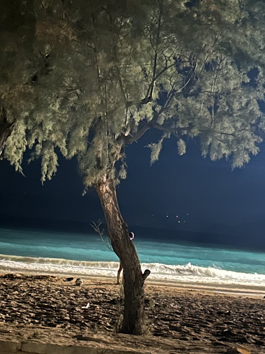 📸Χθεσινοβραδινή