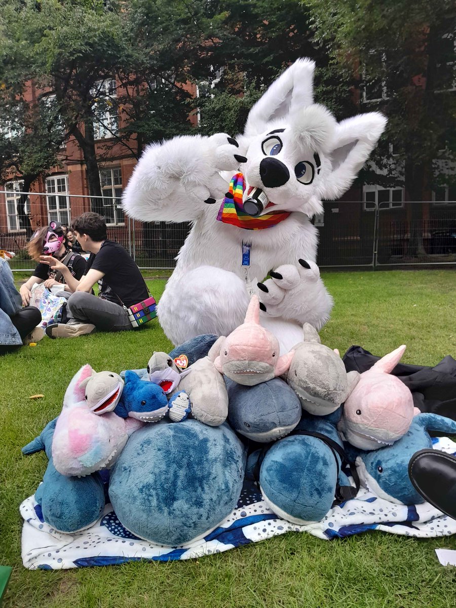 @double0690.bsky.social ๐ EF29 (@double0690) on Twitter photo Got that blรฅhaj boy swag :3 #mancfurs #fursuit
โ๏ธ- <a href="/b1oodymawz/">ace</a> + <a href="/tearwolf09/">spark ๐ EF29</a>
๐ธ- <a href="/FrazerBurr/">Frazer ๐ป</a> Got that blรฅhaj boy swag :3 #mancfurs #fursuit
โ๏ธ- <a href="/b1oodymawz/">ace</a> + <a href="/tearwolf09/">spark ๐ EF29</a>
๐ธ- <a href="/FrazerBurr/">Frazer ๐ป</a>