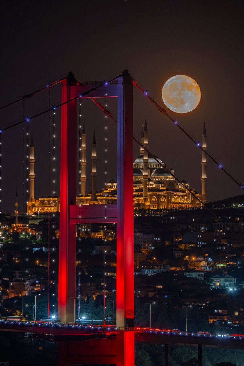 buluttan tweet media