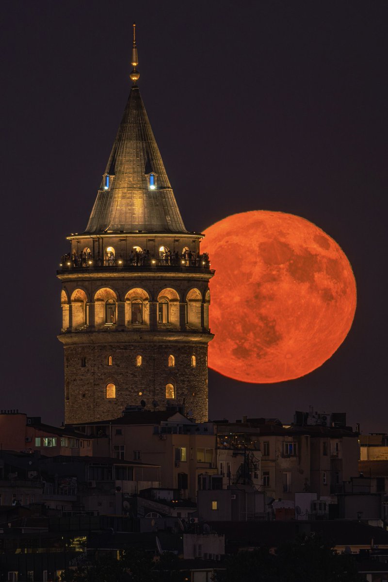 buluttan tweet media