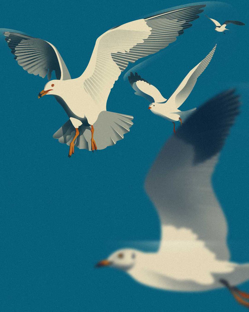 Soaring high and embracing the limitless freedom of the sky! 🪽

Illustrated by @domagoj_sokcevic
🦉owlillustration.com

#illustration #portfolio #illustrationagency #artwork