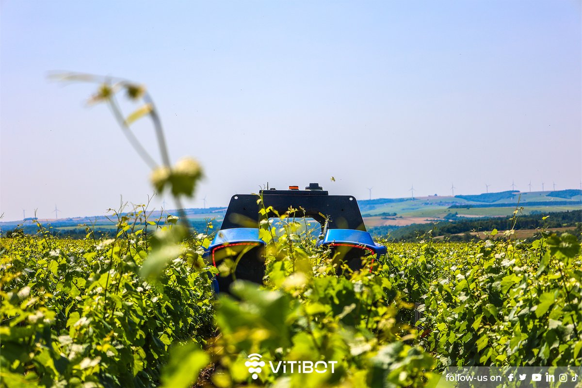 VitiBot's tweet image. – Mec, y’a un truc chelou dans les vignes
– Genre ?
– Un robot. Tout seul. Il trace, il s’arrête pas.
– C’est Bakus.
– C’est quoi ce délire ?
– C’est pas un délire. C’est l’avenir. 😉

#VitiBot #Bakus #Robotautonome #Viticulture