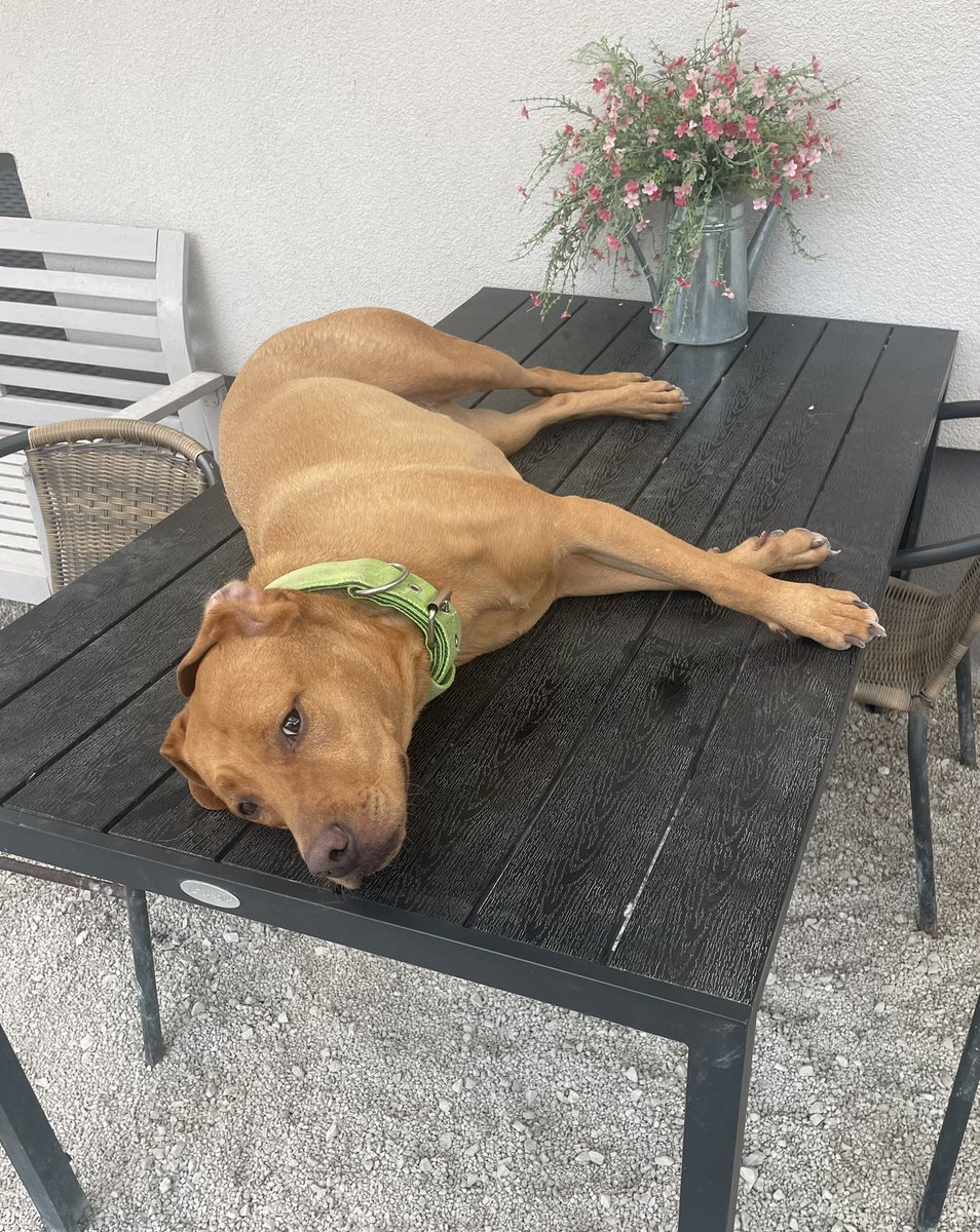 Monday mood 😂😂🙈