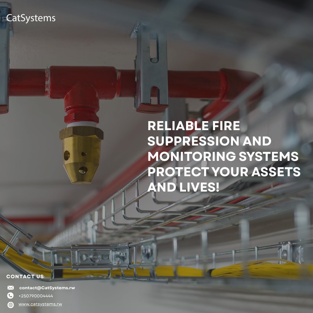 CatSystems_'s tweet photo. Keeping danger at bay, 24/7.
#CatSystems #Securitysoluticons #Staysecure https://t.co/9kXEsmgYS8